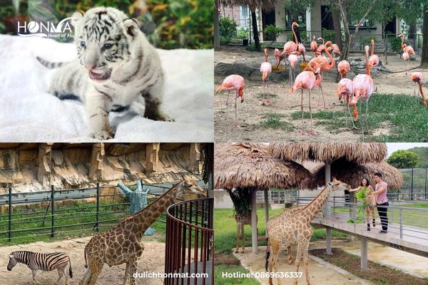 Sở thú hoang dã Mường Thanh Safari Land